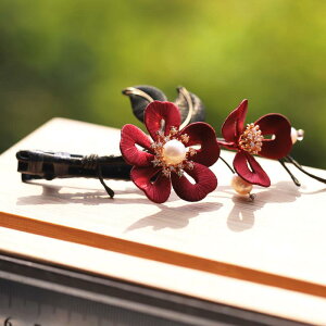 wAANZT[ fB[X   `H| ZN xxbg  R[  a wAs ԐFn V