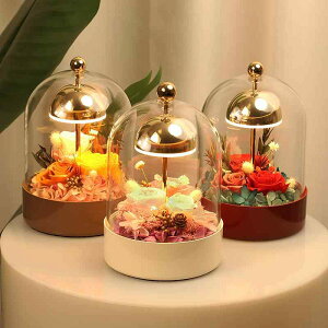 CeACg i LED xbhTChv Cg ドCg ԐڏƖ ₵ ͋C 蕨 ^b` DIY\ iCgCg