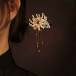 wAANZT[ LbY qp ؐ 񂴂  g  a   h ԕ