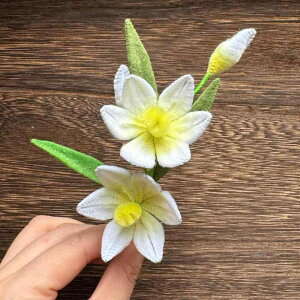 wAANZT[ fB[X  RT[W  Õ u[` 2way wAs `CihX  a z  Us 񂴂 XeBbN 