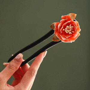 wAANZT[ fB[X  VN gݕR ԕ 񂴂 a  wAs U^ h   P[Xt