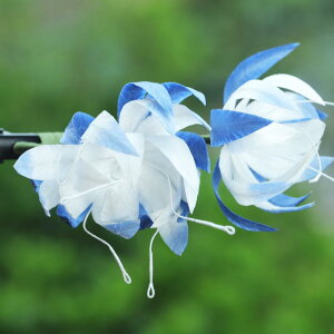 wAANZT[ fB[X  VN ? 񂴂 a u[ zCg i GKg  `H|