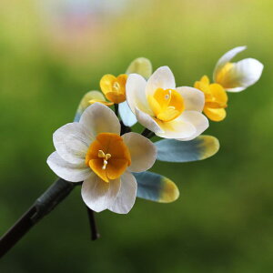 wAANZT[  Õ  񂴂 h `CihX a  ܂Ƃߔ ig Mtg