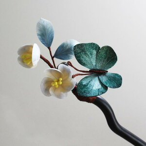 wAANZT[ fB[X Õ  VN Of[V  񂴂  h T_Ebh Y `  a RXv