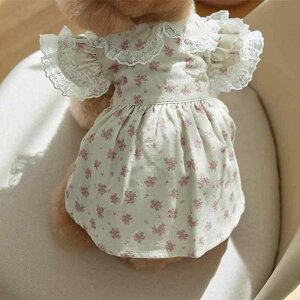 ybg Lp H~ R[fC ԕ s[X ^  rV ǐF [ǐF F XS S M L XL  L hbOEFA LbgEFA