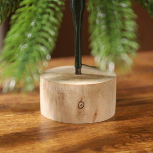 NX}Xc[  NX}Xc[ I[ig k ~jNX}Xc[ fR[V Zbg PEA ڂ Ԃ 45cm 60cm