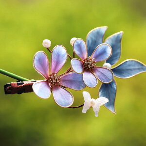 wAs fB[X `CihX  VN ? t[ ԕ g Õ p[v   񂴂 킢