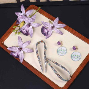 wAANZT[ fB[X V `CihX  g wAs C[Jt 6_Zbg  ؕ 񂴂 CO Ñ  RXv wbhhX  dCbL 