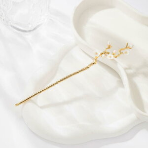 wAANZT[ fB[X Õ ~̉ 񂴂 R[   i GKg  g  a   p[eB[