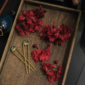 wAANZT[ fB[X p a  wbhhX ԐF  g i GKg EFfBO uC_  p[eB[