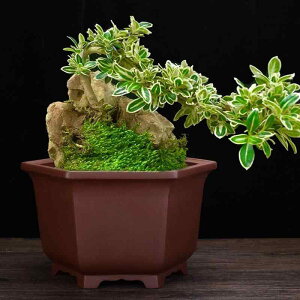 Aؔ  ` Zp` p` ÓT  ϗtA K[fjO ~   ʋC ϕH ItBX ƒ | x_؉ Ff