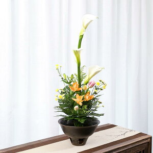 ԕr  Ԋ a R ؓ  t[x[X ֑} ̊  IuWF CeA