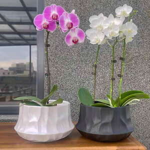 ԕr k  minimalist fXN z[  Ӓ  Aؔ v^[ ubN