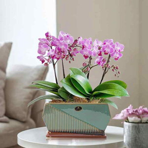 ԕr A a ~͔ k Z~bN Aؔ 픫 ϗtA A T{e   CeA |  O[