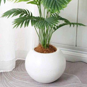 Aؔ }OlVAD  㕗 Vv  ʋC Jo[ ϗtA 񂹐A A  |  ItBX ze ƒ }OlVAD