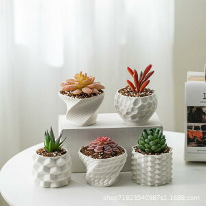 Aؔ 3Dvg 픫  ϗtA ~ ~jTCY Zp` ~ vY ҂ݍ zCg 