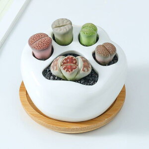 Aؔ  L܃fUC ~j A T{e ~ A ƒ؉ |pi   bN X^h CeA K[fjO