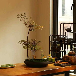 ԕr  M  ~ ؓ  T a KX nF R[q[F ItBX ƒ |