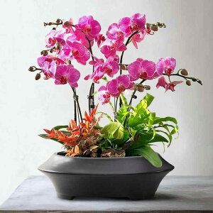 ԕr  a Aؔ ~ I v ㎮ u ItBX ƒp|  