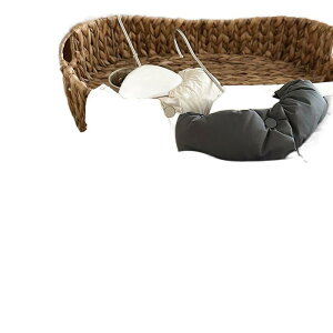 q _EWPbg K[Y ~p  h AE^[  R[g ̎q xr[ [DF ĔF