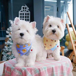 ybgp 悾ꂩ  L Op 킢  X^C ANZT[ Fy 㵍ʞ ? 炵 y S M L XL