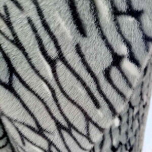 ?n ʂݐn Xq  NbV n qE  L [u H~