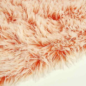 ʂݐn PV?? wCh? \t@   |GXe N ӂӂ  n IW X[NO[ uE F Vo[O[