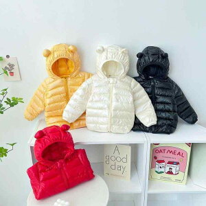 qp _EWPbg jp  t[ht N₩ȃJ[ n X|[c AE^[ ~