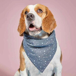 hbOEFA ybgp X^C p Lp Op o_i  悾Jo[ |GXe 킢 J[gD[ ^ ^ ^ ʔN