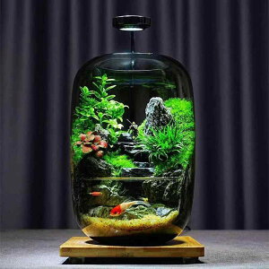 ԕr ANAE  eE KX   ϗtA ۖ~ ~j  CeA  ]_KX