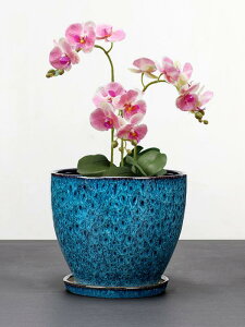 Aؔ fB[X Y    ƒp | ϗtA n[u 񂹐A  K[fjO CeA v^[ Mt  T{e c  킢