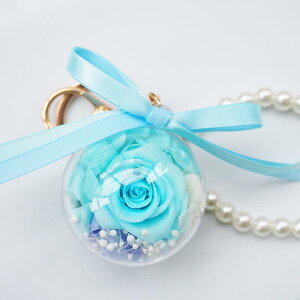 L[z_[ vU[uht[ `[ obO`[ L[O ԗp  Mtg o^C NX}X av[g