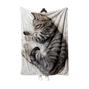 ѕz ItBX Q uPbg  TSt[X tl \t@Jo[ GAR΍ |GXe lGp _ Vv LN^[