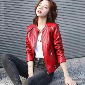 WPbg fB[X oCNp U[WPbg vW C_[XWPbg uF V[g X  Xg[g PUU[ tH    sNn