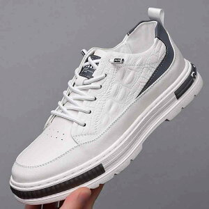 vC Y Cq[ 6cmAbv [XAbv [t@[ jp U[V[Y EhgD   JWA ig ʋC NbV