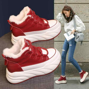 C fB[X ꃀ[gu[c ? Cq[ 6cm~8cm g EhgD JWA /L H~