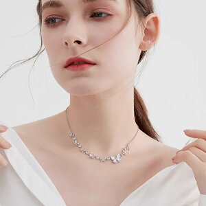 lbNX fB[X `[t ANZT[ `[J[ y_g dCbLH WRjA t@bV ʋ 킢 