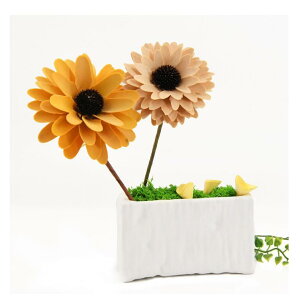 ؐ DIY f ؉   z[fR[V ʐ^Be 