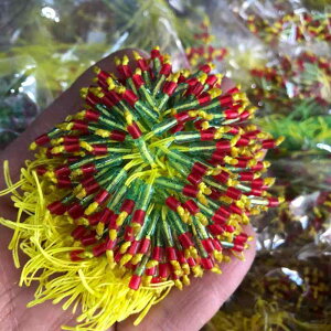 ނ莅 PEC ͔n PE    CC ⋭ ނ