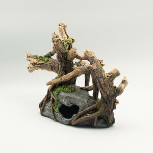  ANAE I[ig p  B Ϗ܋ Mы  ̋xe ̉B A ٓ 