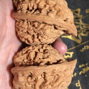  Y ANZT[   uXbg jp Mtg v[g