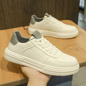 �X�j�[�J�[ �����Y �j���p ���[�J�b�g ���� �ʋC�� �Ռ��z�� �y�� �J�W���A�� ���i�g�� �E�H�[�L���O ���n