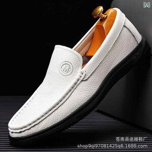 C Y hCrOV[Y jp {v Xb| [t@[ _炩 S tbg ؂ ^] ig JWA  