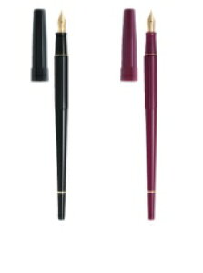 PILOTipCbgj@NM@fXNy@P-DPP-1Si1000jyRCPz