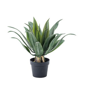 J tFCNO[ AKx W53×D53×H53 i TMZGRN-14TMZ