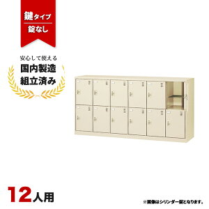 V[Y{bNX 12lp t ItBXp ʔ t ԒIt  SLC-12Y-K2 j[O[