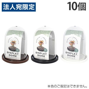 fBXvC WP[X fBXvCh[M 10