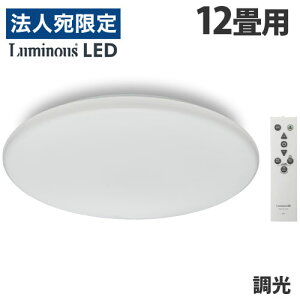 hEVV LEDV[OCg  12p E50-X12DX VƖ Ɩ V[OCg  Rwiꕔn揜jx