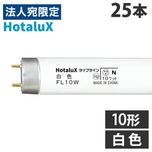 z^NX (NEC) ǌu CtC O[X^[^` 10` F 25{ FL10W uv FL wԕisxwsxwiꕔn揜jx