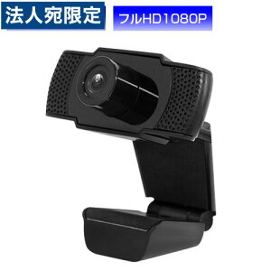 HIDISC WEBJ }CN ȒPڑ 200f1080P tHD HDEDG1-2M EFuJ webkamerawiꕔn揜jx